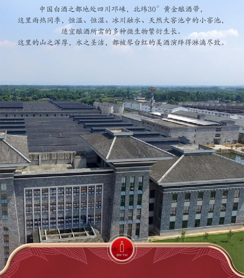 琴台红10
